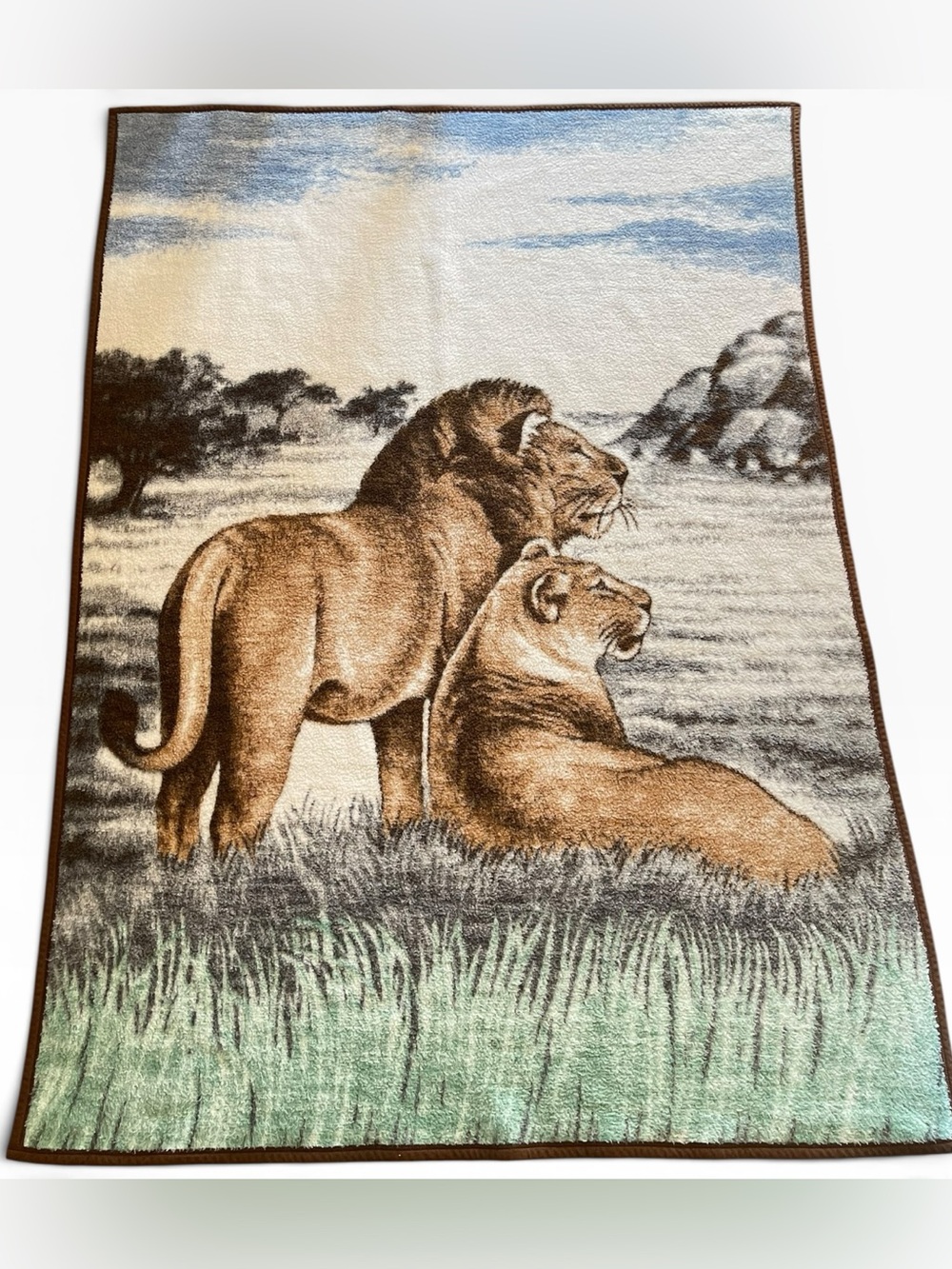 Vintage Lion Lioness Hi Pile Fleece Blanket Throw 52”x 74” San Marcos Style